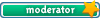 lieutenant